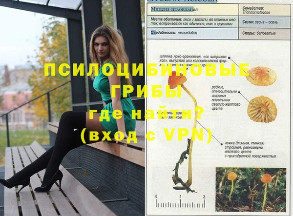 дмт Верхний Тагил