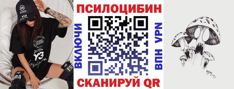 Галлюциногенные грибы GOLDEN TEACHER  Купить закладки  Пошехонье 